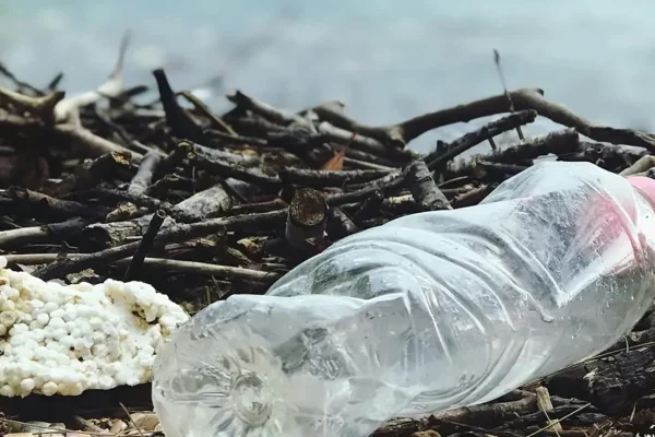 Quanto tempo leva para nossos resíduos se decomporem?