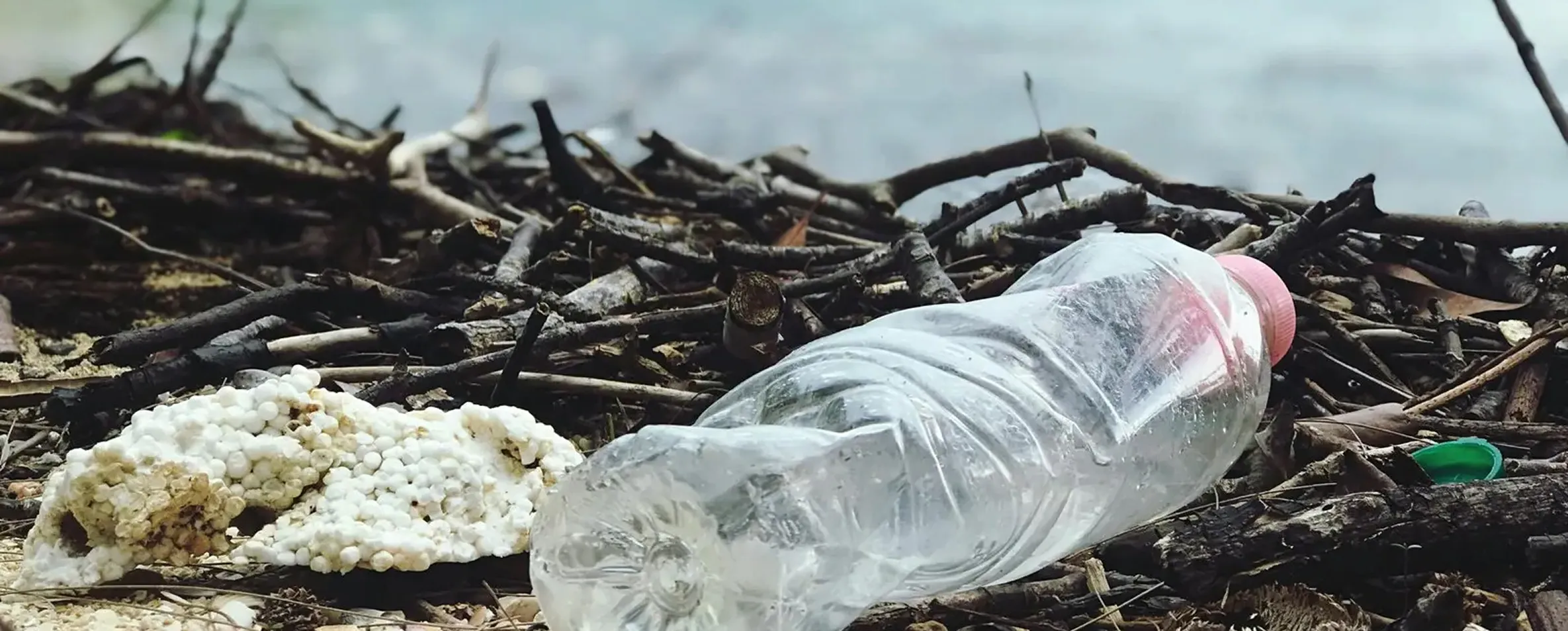 Quanto tempo leva para nossos resíduos se decomporem?