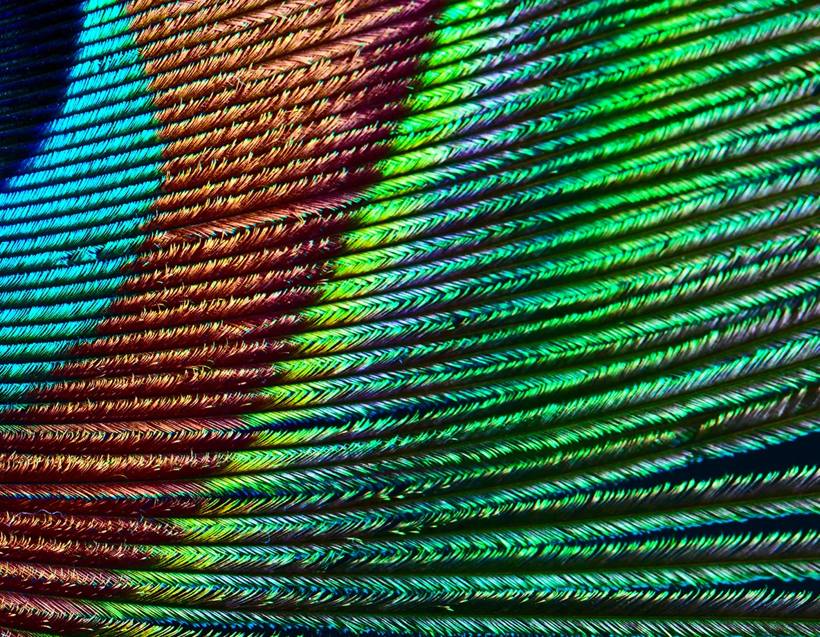 Saúde e Bem-Estar no Ambiente Construído