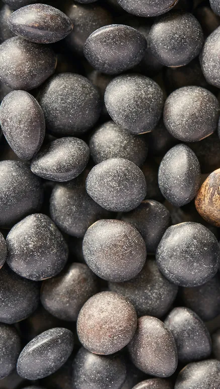 Gerar impacto ambiental e social positivo por meio de soluções práticas, mensuráveis e acessíveis, que ajudem empresas a crescer de forma responsável e sustentável.