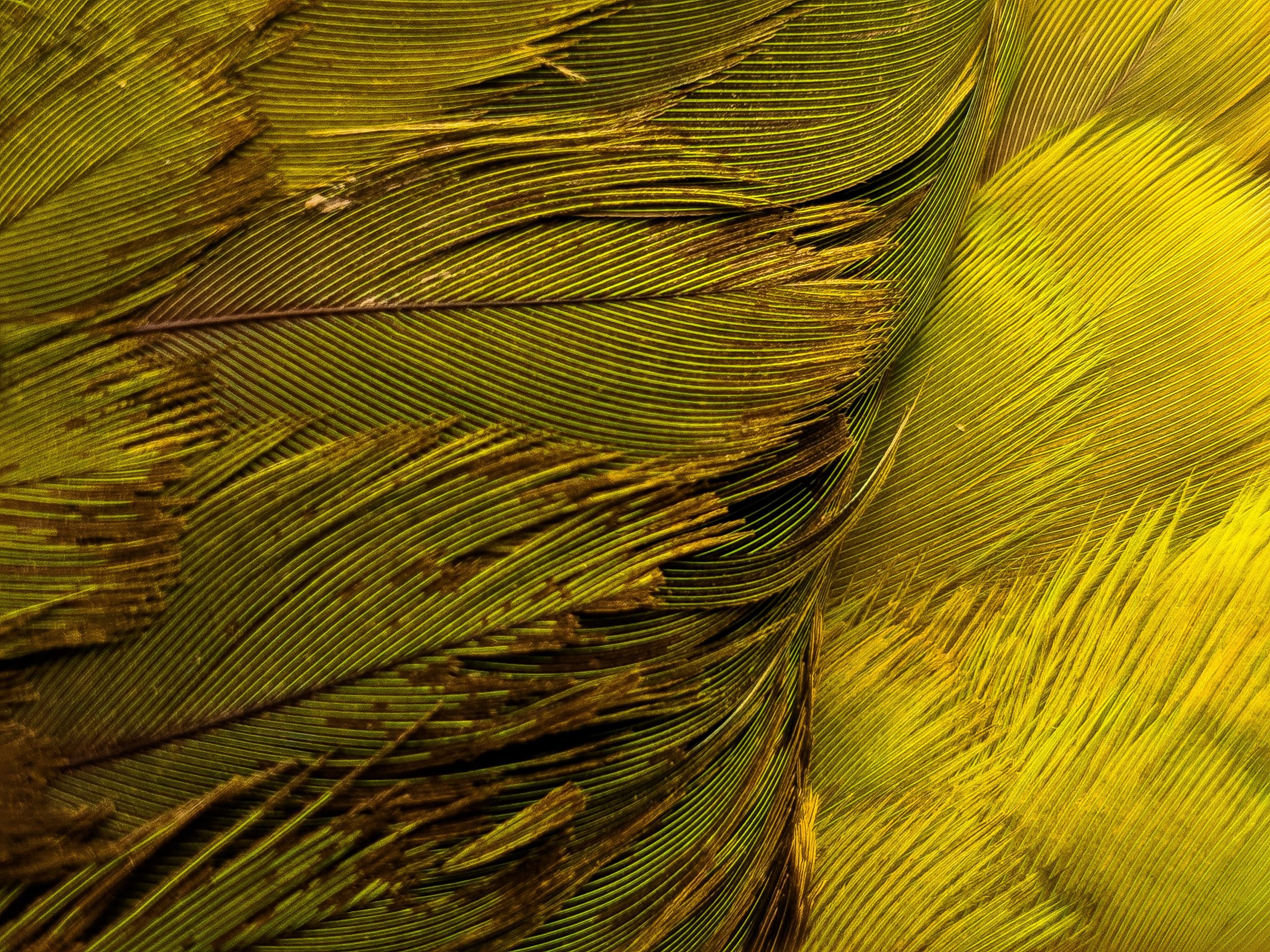 Sustentabilidade como negócio