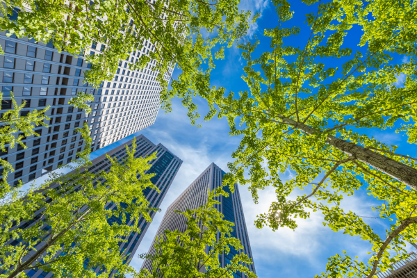 Comunicação ESG: como evitar greenwashing e ganhar credibilidade