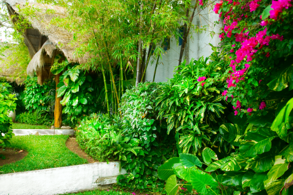 O Impacto do Design e Paisagismo na Nossa Saúde & Bem-Estar