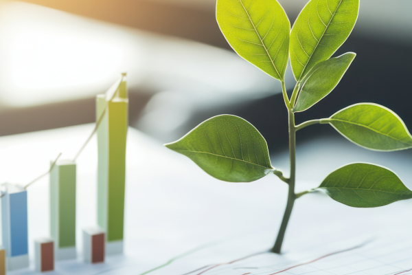 ROI Verde: como medir o retorno sobre o investimento em certificações ambientais