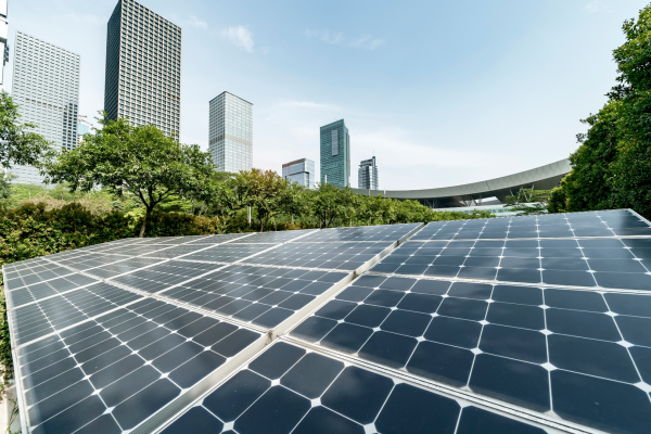 Sustentabilidade e Lucro: Alinhando retorno financeiro e impacto positivo