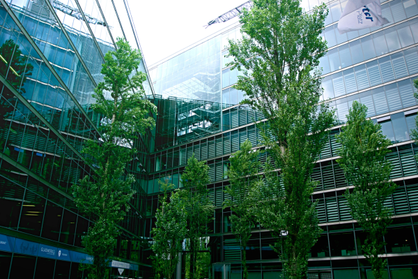 Greenwashing vs. Greenbuilding: como evitar práticas vazias e adotar ações concretas