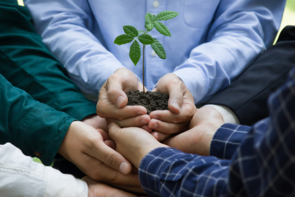 A sustentabilidade é para todos? 