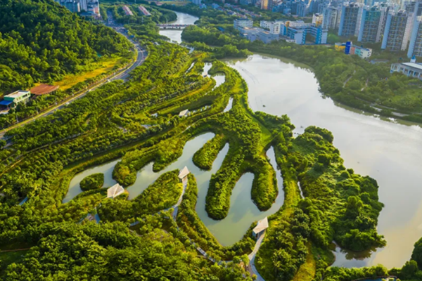 Cidades-esponja: Uma solução sustentável para os desafios climáticos