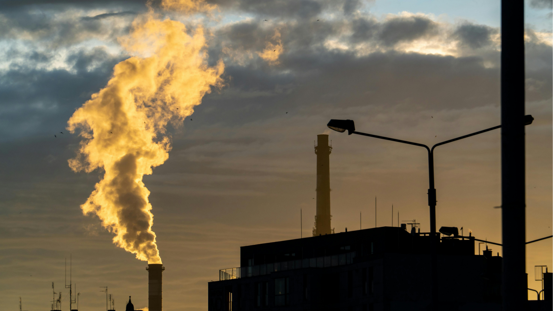 Gestão de carbono: compreenda os escopos 1, 2 e 3 para reduzir o efeito estufa