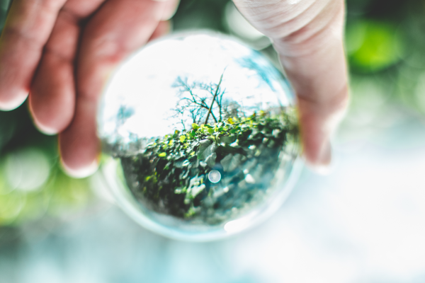 Sustentabilidade e Economia Circular: Ressignificando a Relação entre Consumo e Recursos