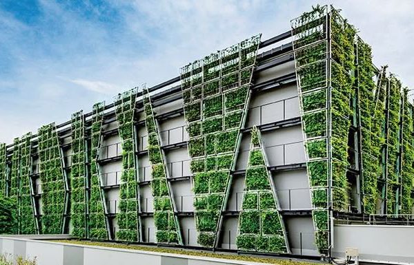 Arquitetura Green Skin: Menos Consumo de Energia, OPEX e CAPEX para as Empresas 