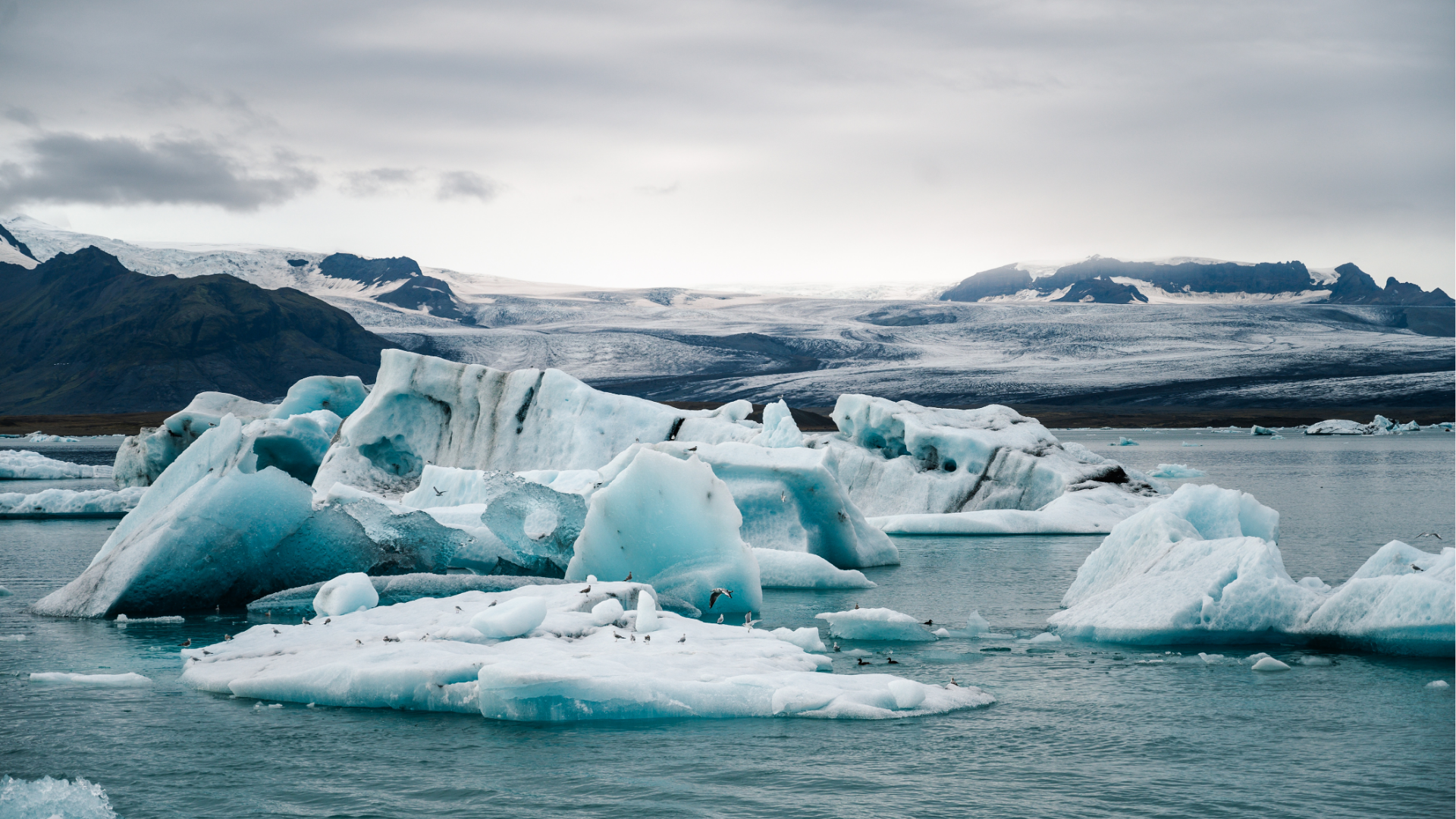 Recomendações sobre Mudanças Climáticas para o Setor Imobiliário